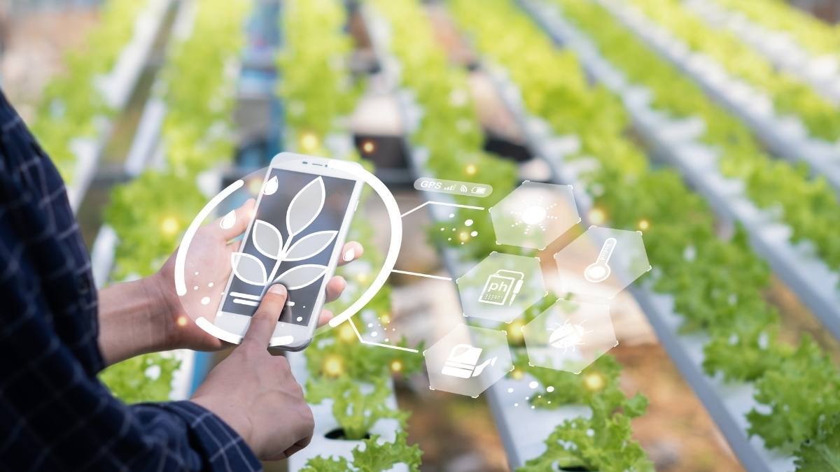 Avviso 1/2026 Foragri: formazione finanziata a 30.000€